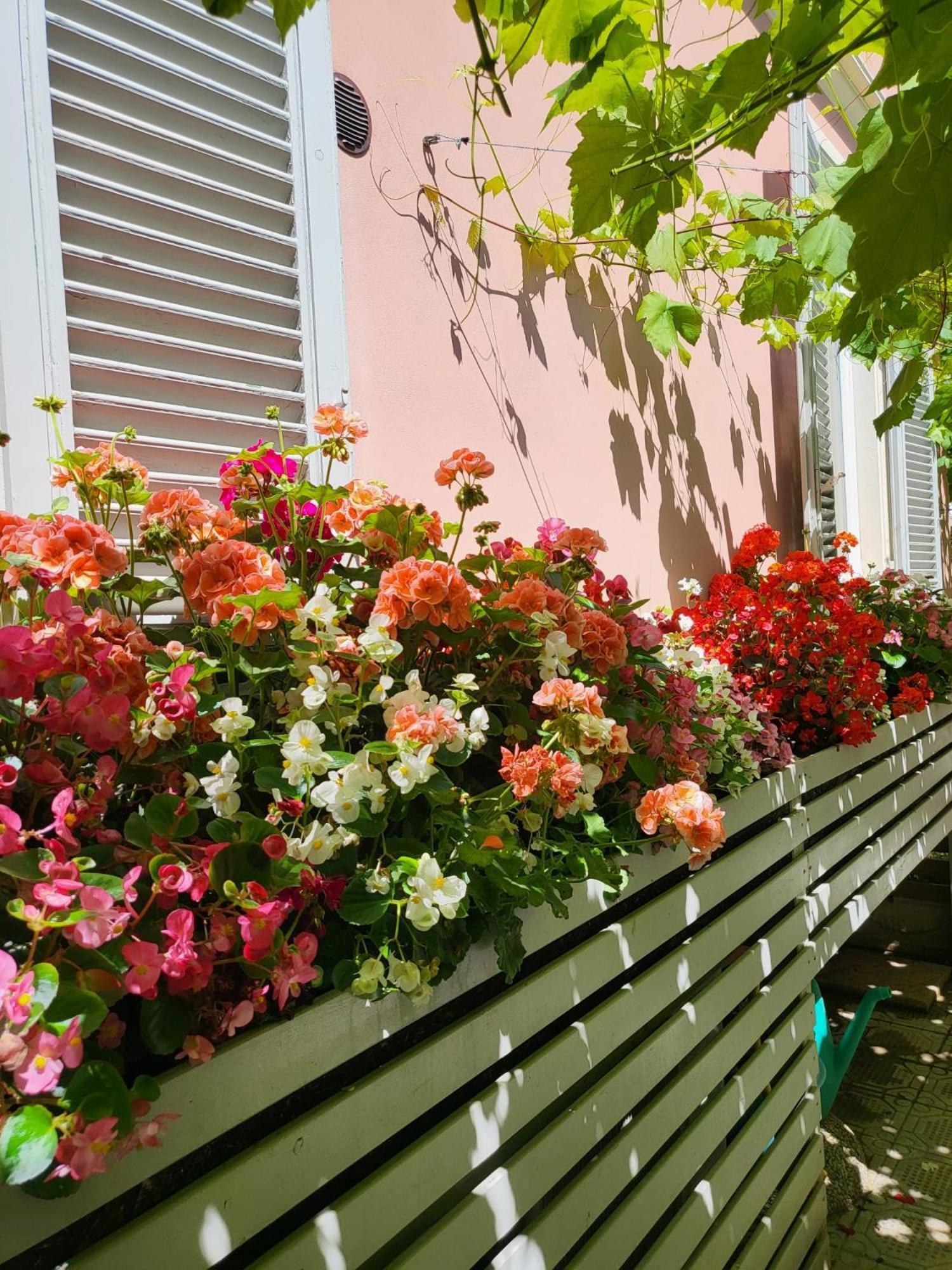 Il Buen Retiro Hotell Lucca Exteriör bild