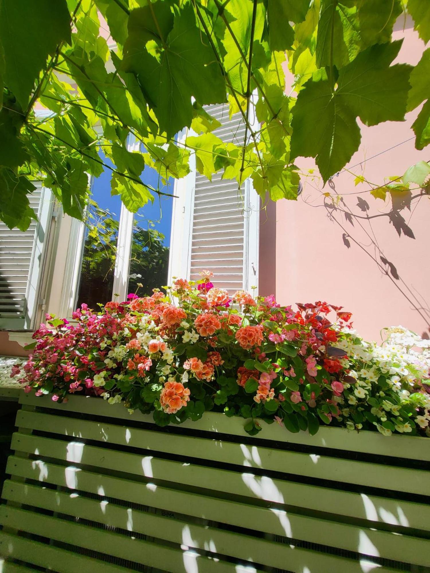 Il Buen Retiro Hotell Lucca Exteriör bild