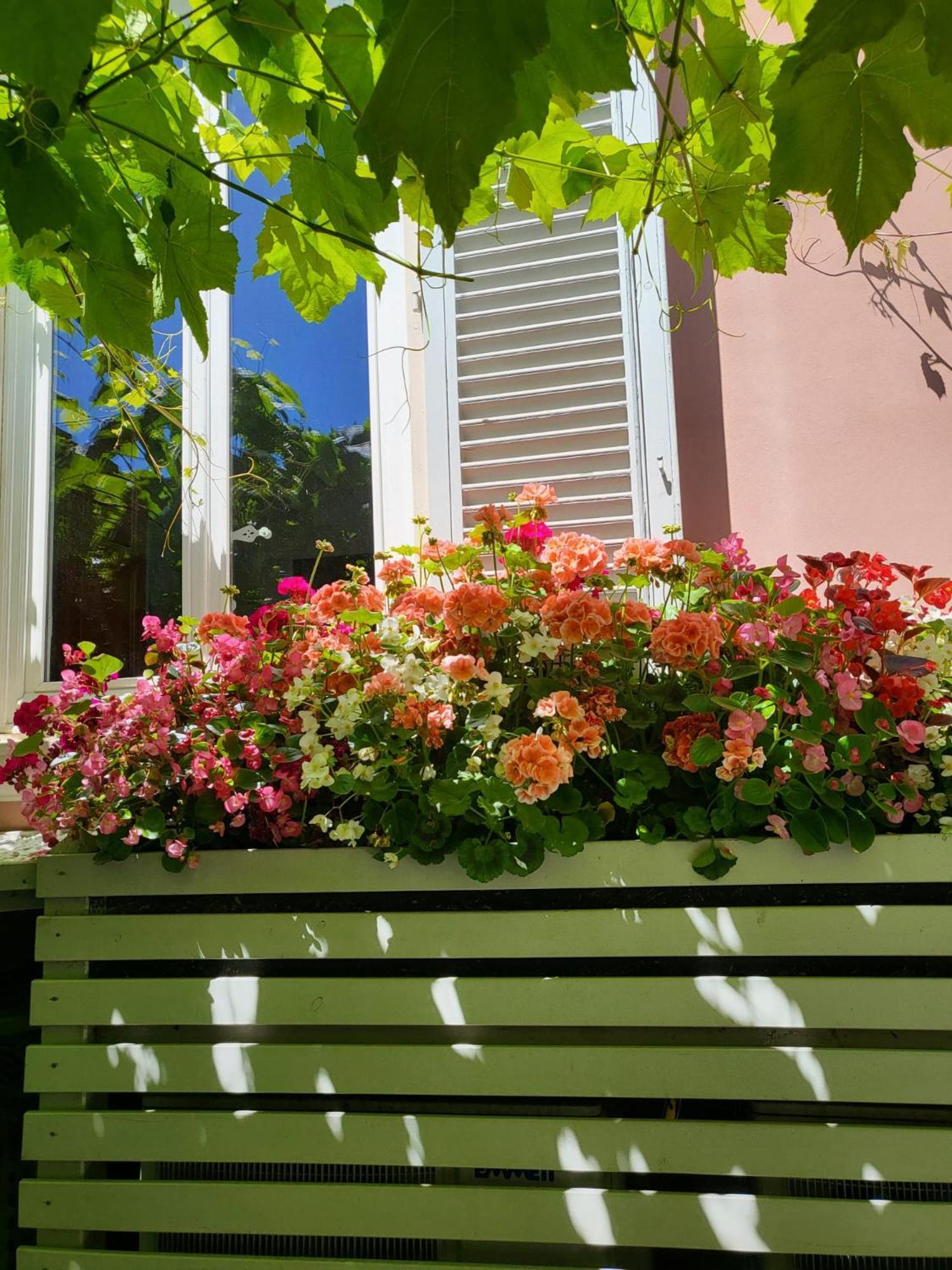 Il Buen Retiro Hotell Lucca Exteriör bild