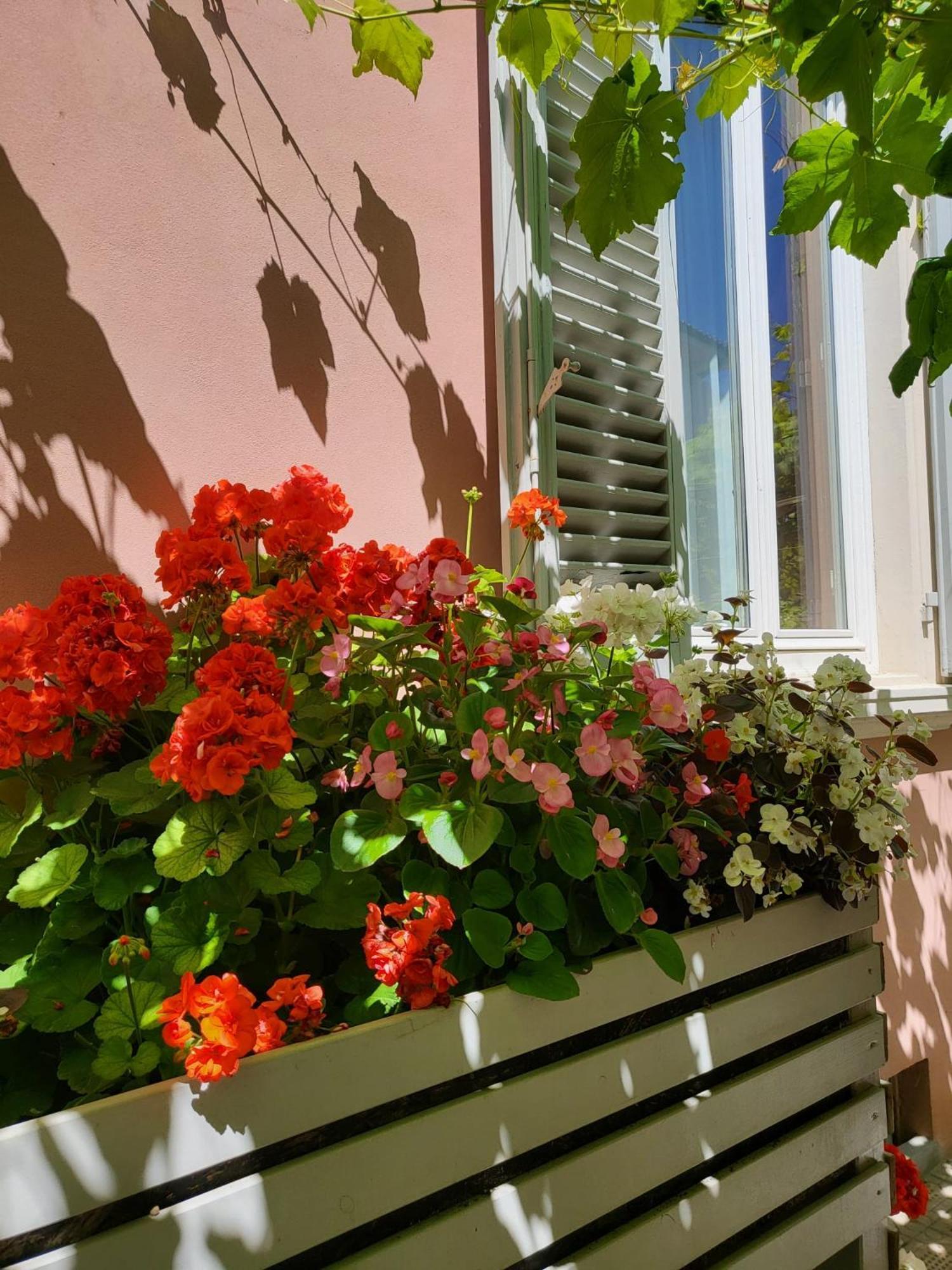 Il Buen Retiro Hotell Lucca Exteriör bild