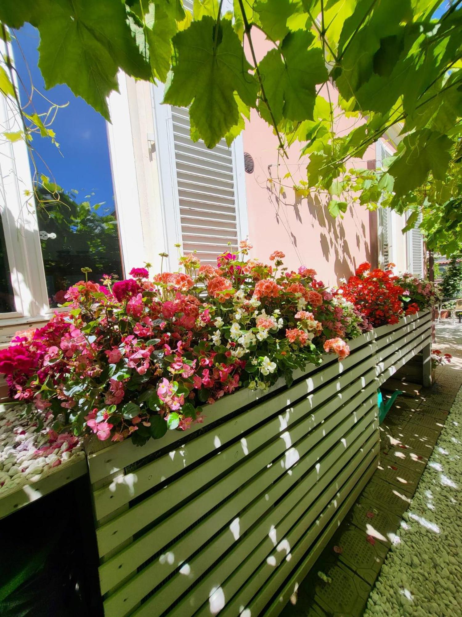 Il Buen Retiro Hotell Lucca Exteriör bild